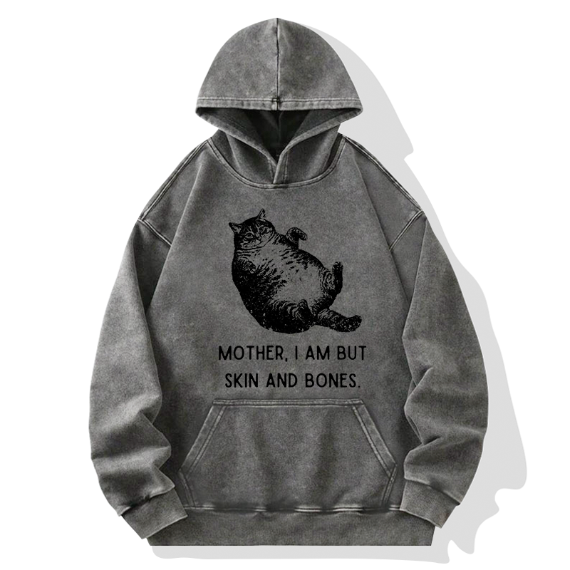 Magmoo Overweight Cat And Its Doting Owner Washed Hoodie