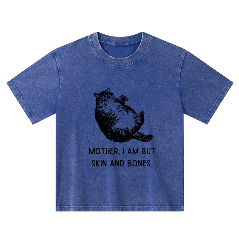 Magmoo Overweight Cat And Its Doting Owner Kids Washed T-Shirt