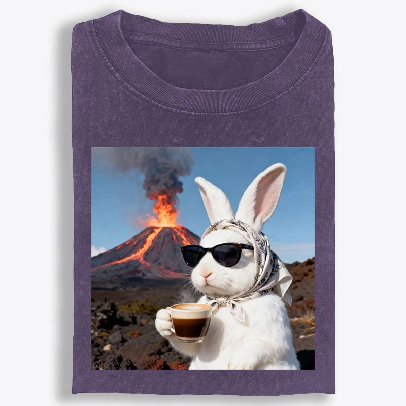 Volcano Coffee Bunny Retro Washed T-Shirt