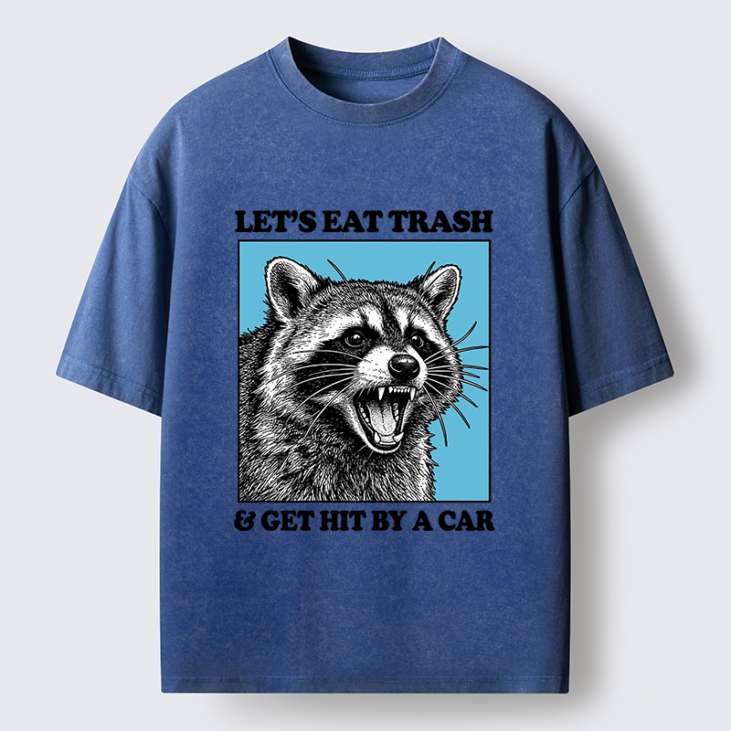 Magmoo Raccoon Rebellion Washed T-Shirt