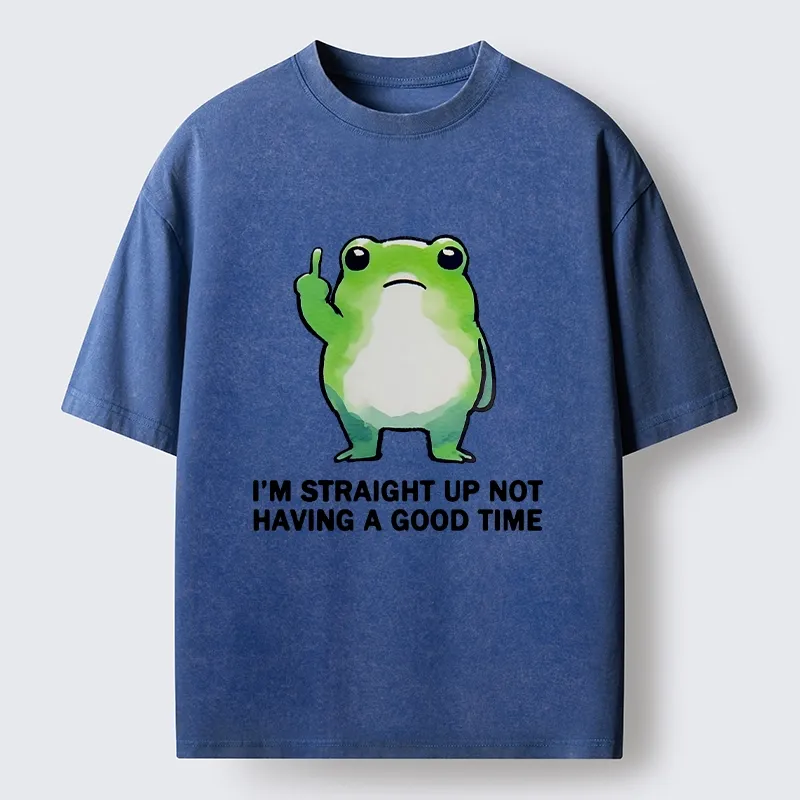Magmoo Grumpy Frog’s Bad Mood Washed T-Shirt-Magmoo