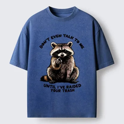 Magmoo Don't Talk To Me Raccoon Vibe Washed T-Shirt