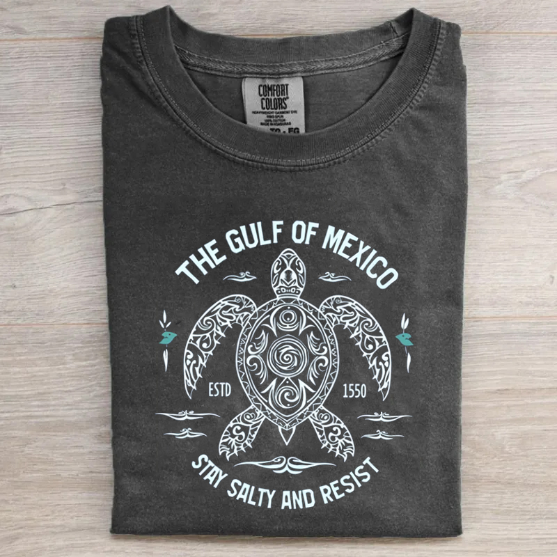 Comfort Colors Gulf of Mexico T-shirt-Magmoo