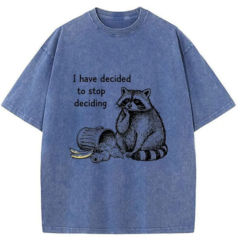 Magmoo Raccoon Stops Making Choices Washed T-Shirt