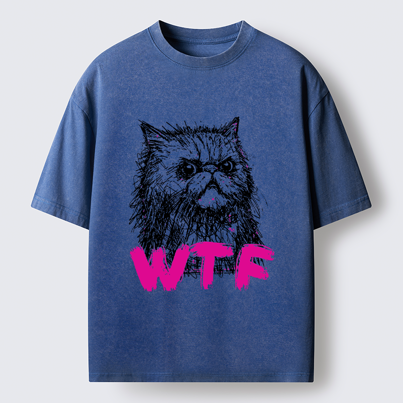 Magmoo Angry And Sloppy Cat Washed T-Shirt-Magmoo