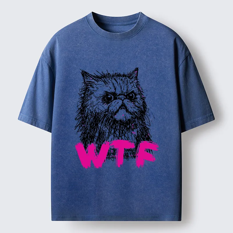 Magmoo Angry And Sloppy Cat Washed T-Shirt-Magmoo