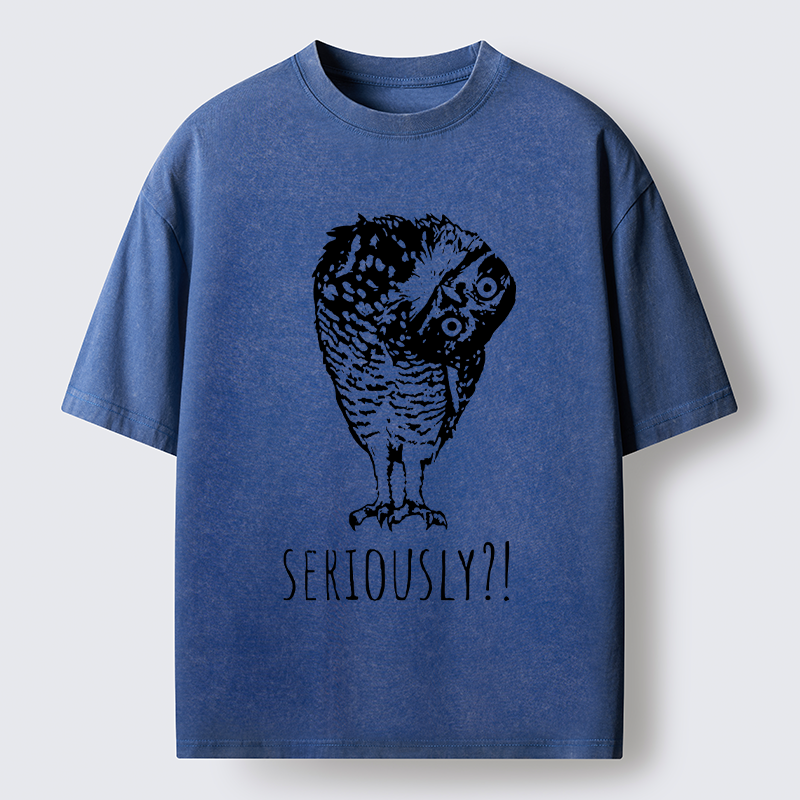 Magmoo Owl's Question Washed T-Shirt-Magmoo
