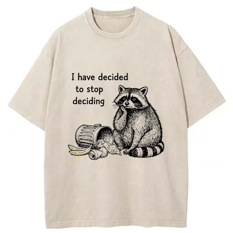 Magmoo Raccoon Stops Making Choices Washed T-Shirt