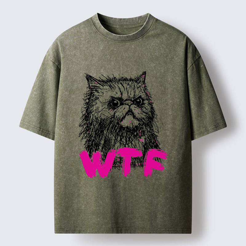 Magmoo Angry And Sloppy Cat Washed T-Shirt-Magmoo