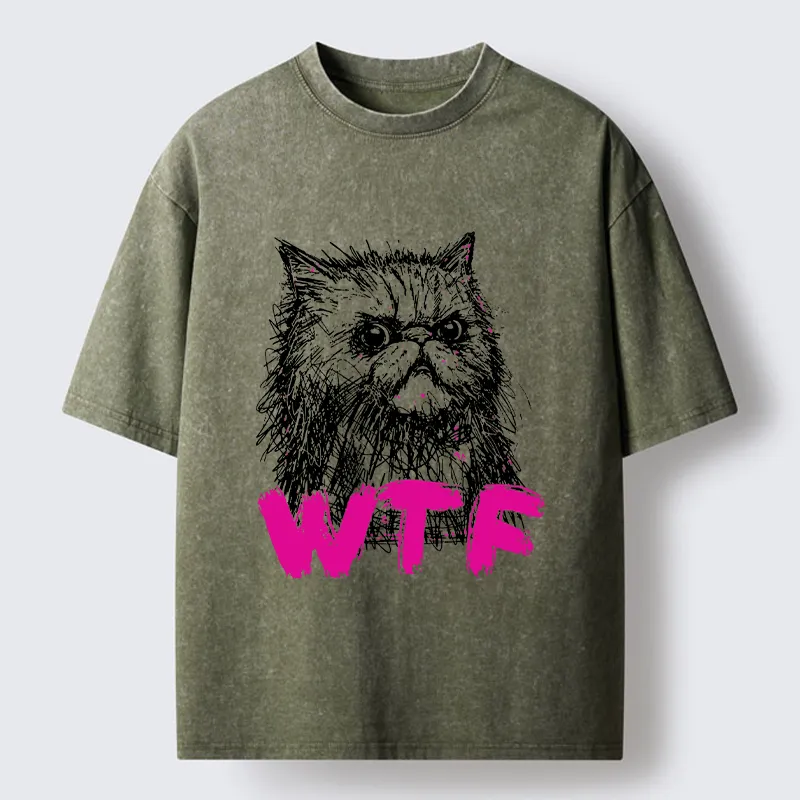 Magmoo Angry And Sloppy Cat Washed T-Shirt-Magmoo