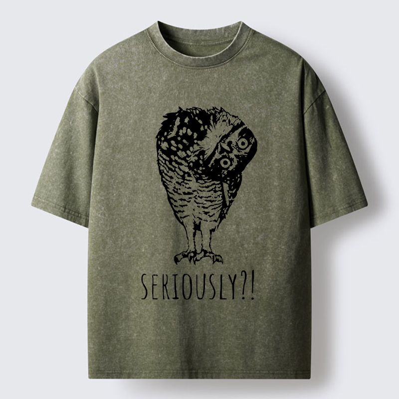Magmoo Owl's Question Washed T-Shirt-Magmoo