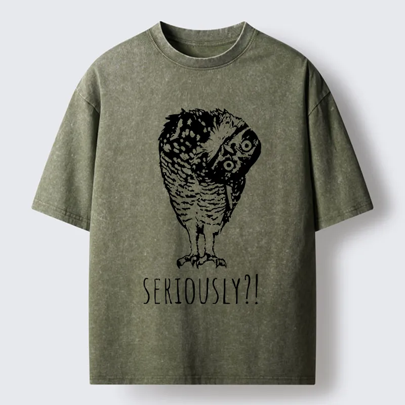 Magmoo Owl's Question Washed T-Shirt-Magmoo