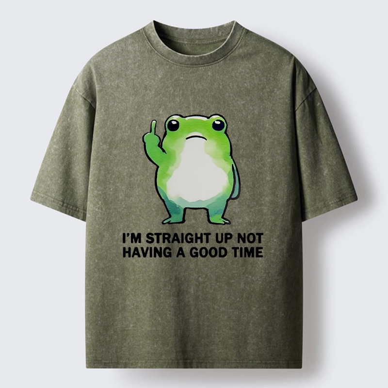 Magmoo Grumpy Frog’s Bad Mood Washed T-Shirt-Magmoo