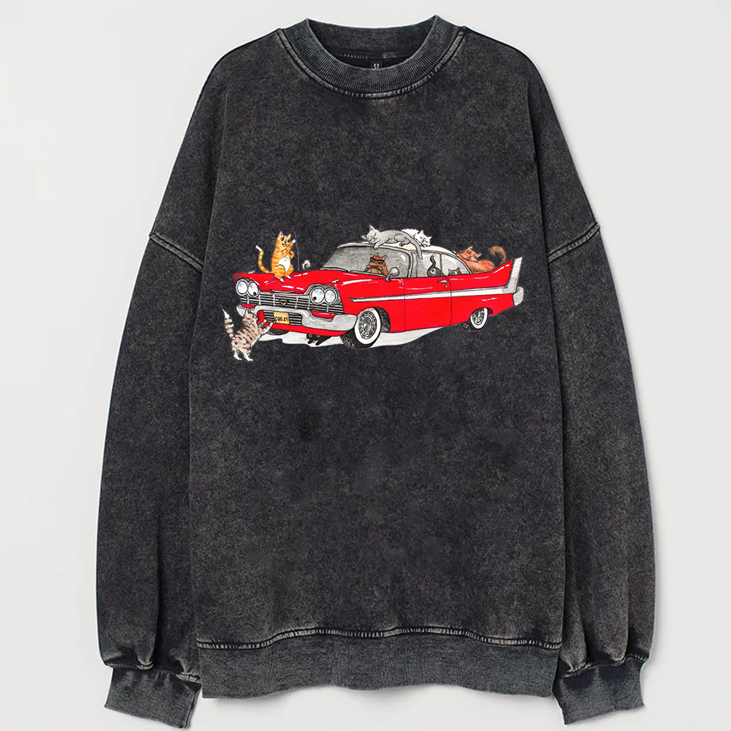 Cursed Car and Cat Shirt/Sweatshirt