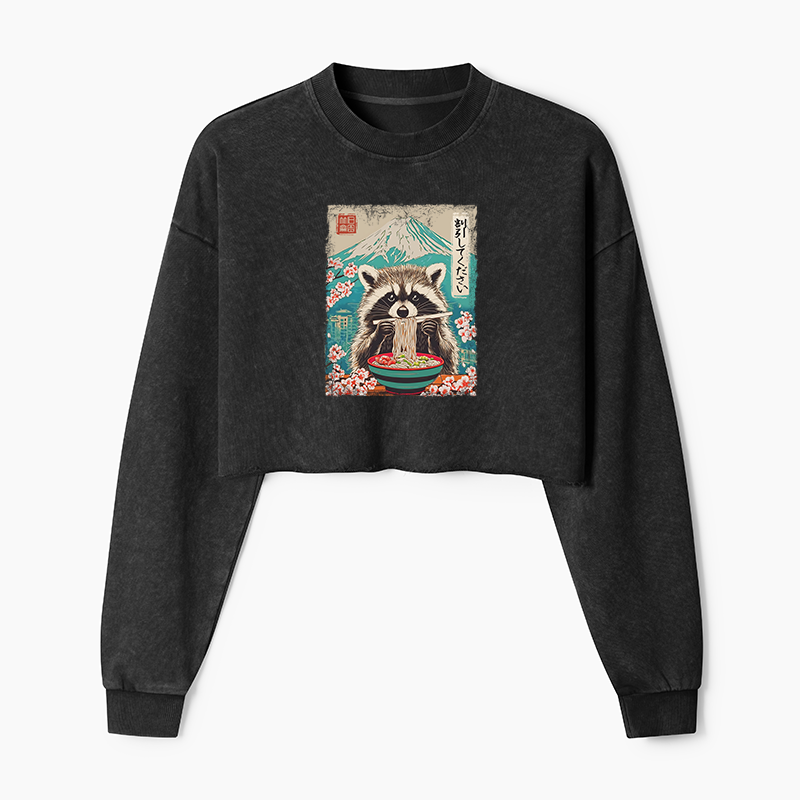 Magmoo Please Give Raccoon A Discount Washed Crop Sweatshirt