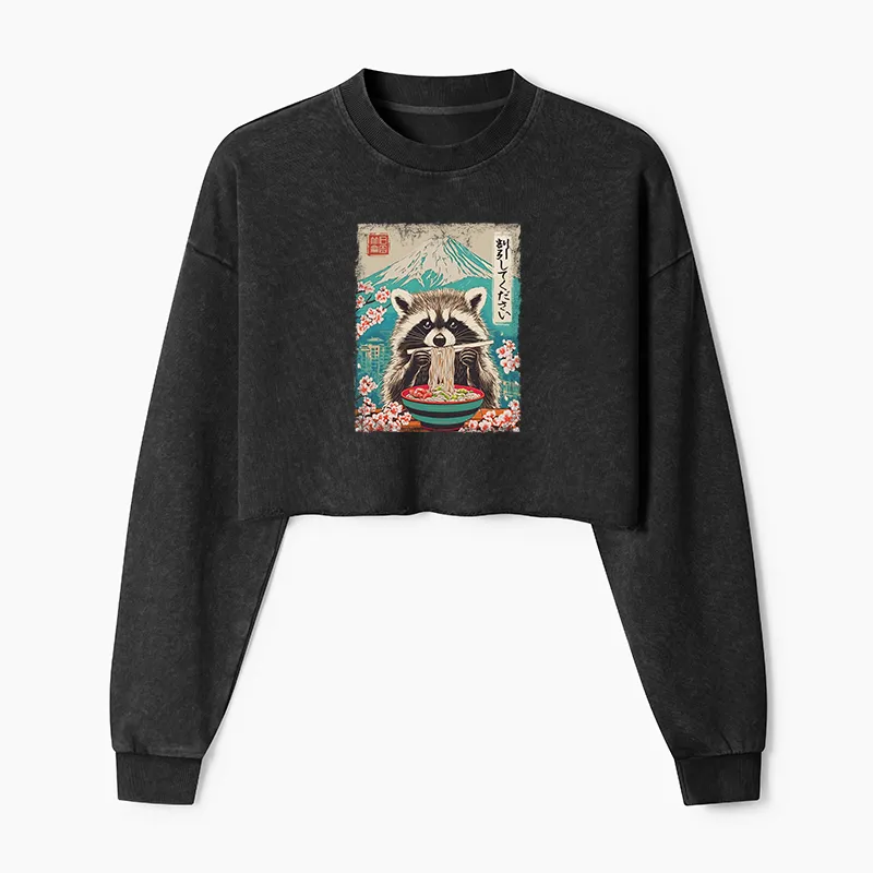 Magmoo Please Give Raccoon A Discount Washed Crop Sweatshirt