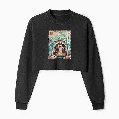 Magmoo Please Give Raccoon A Discount Washed Crop Sweatshirt