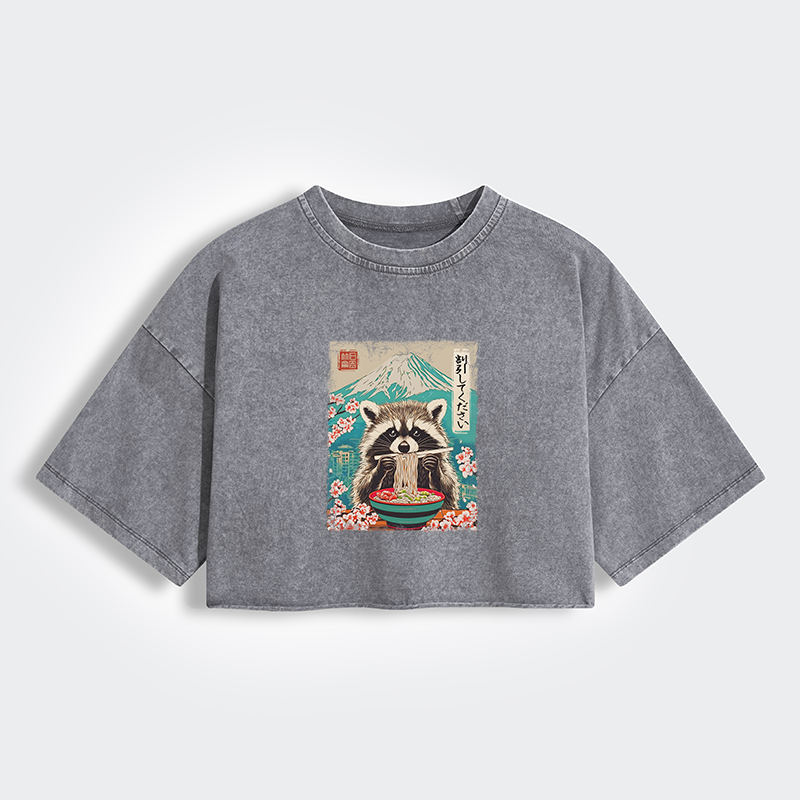 Magmoo Please Give Raccoon A Discount Women's Washed Crop T-Shirt