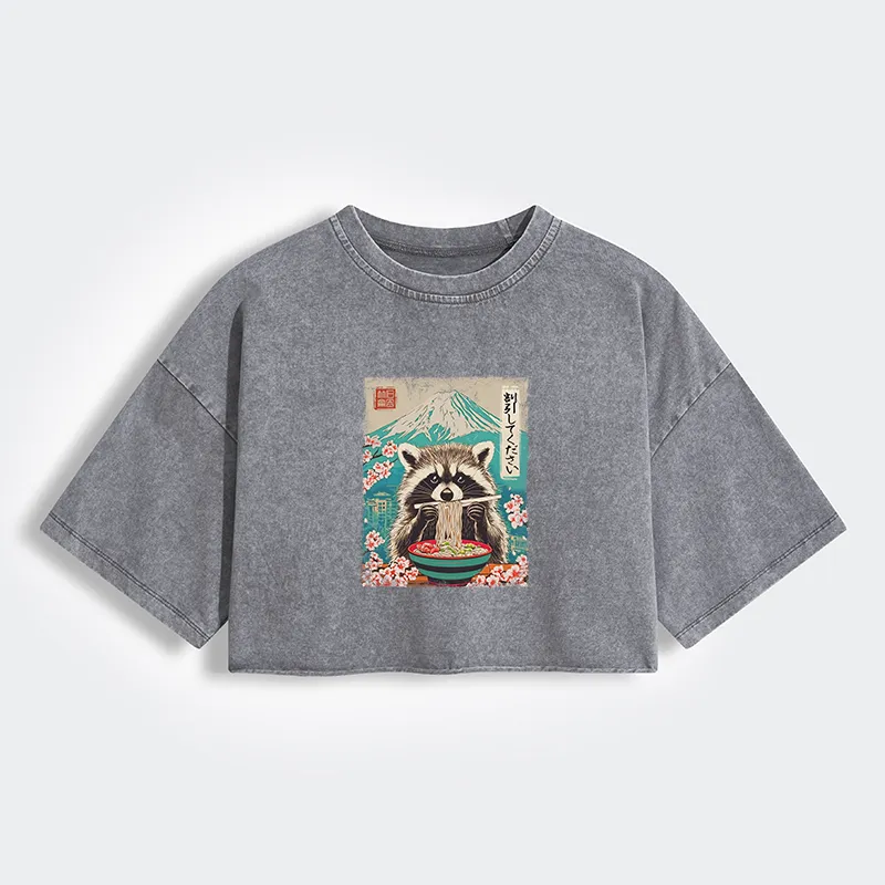 Magmoo Please Give Raccoon A Discount Women's Washed Crop T-Shirt