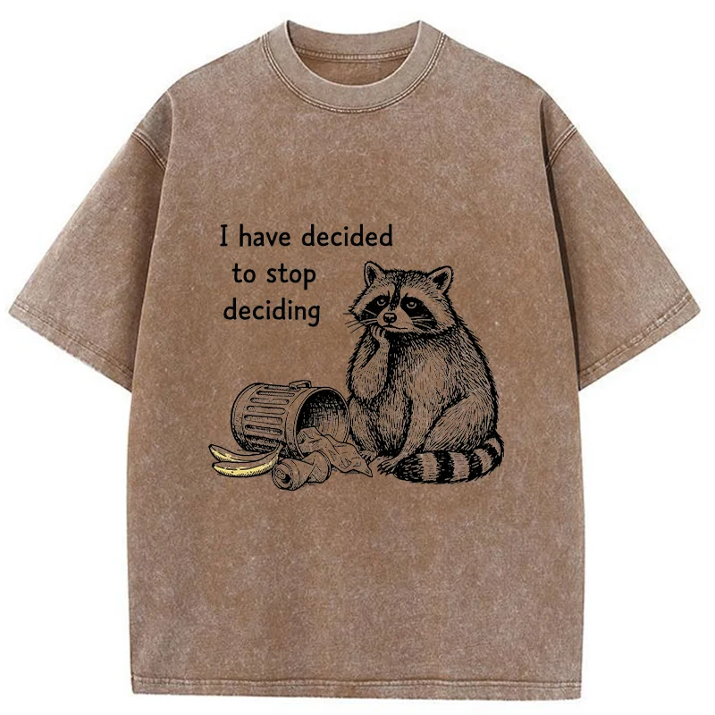 Magmoo Raccoon Stops Making Choices Washed T-Shirt