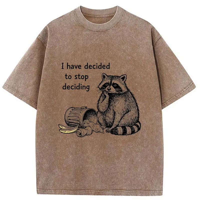 Magmoo Raccoon Stops Making Choices Washed T-Shirt