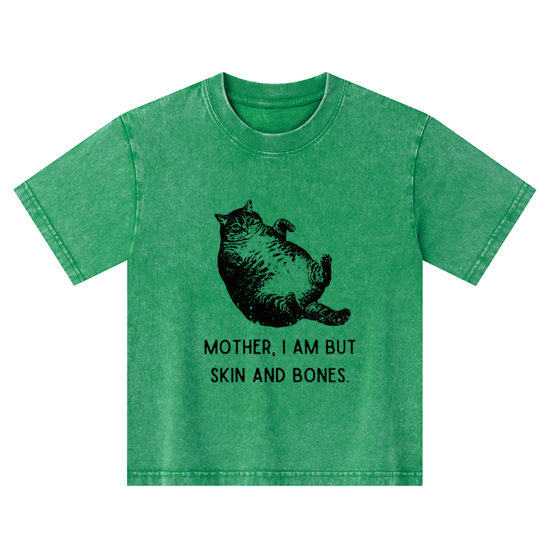 Magmoo Overweight Cat And Its Doting Owner Kids Washed T-Shirt