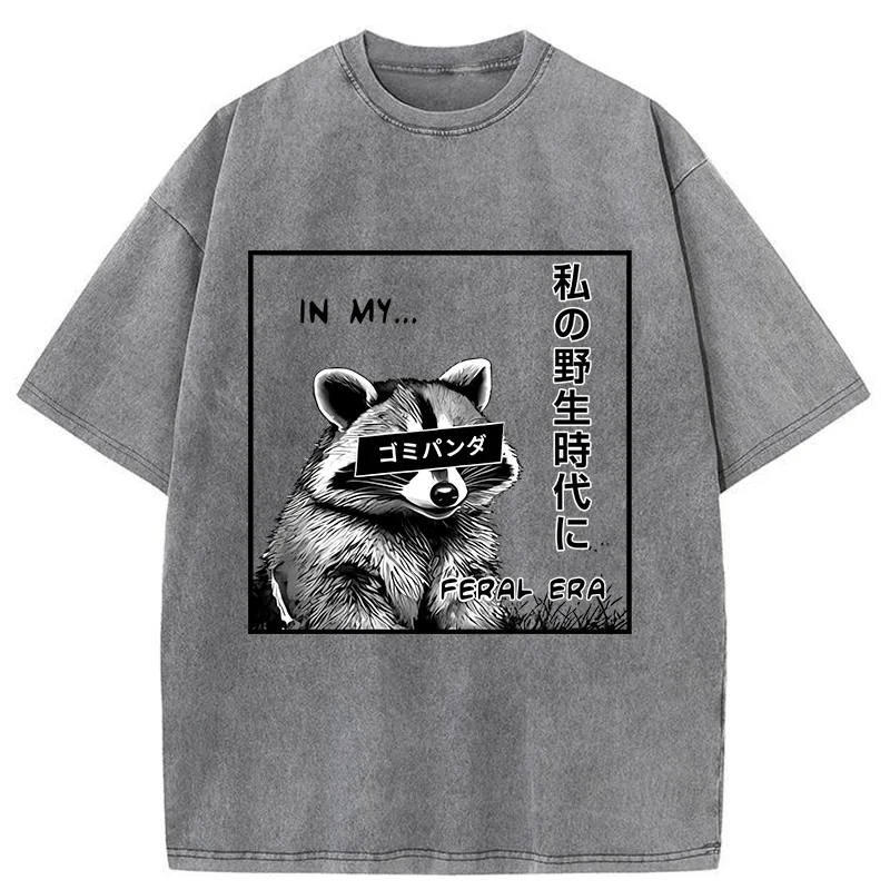 Magmoo Japanese Wild Raccoon Washed T-Shirt