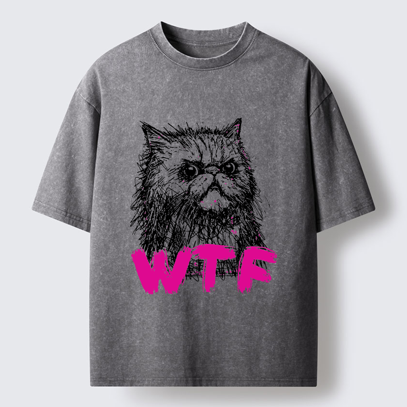Magmoo Angry And Sloppy Cat Washed T-Shirt-Magmoo