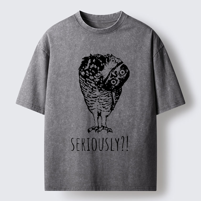 Magmoo Owl's Question Washed T-Shirt-Magmoo