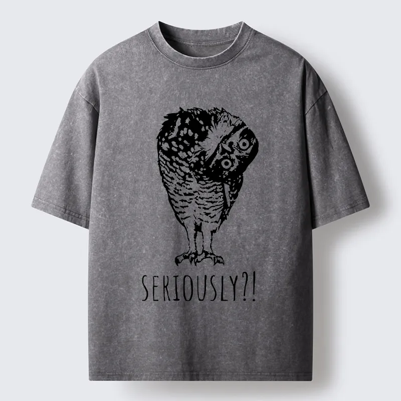 Magmoo Owl's Question Washed T-Shirt-Magmoo