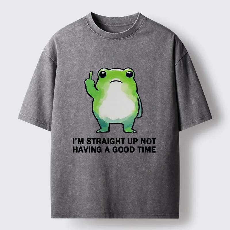 Magmoo Grumpy Frog’s Bad Mood Washed T-Shirt-Magmoo