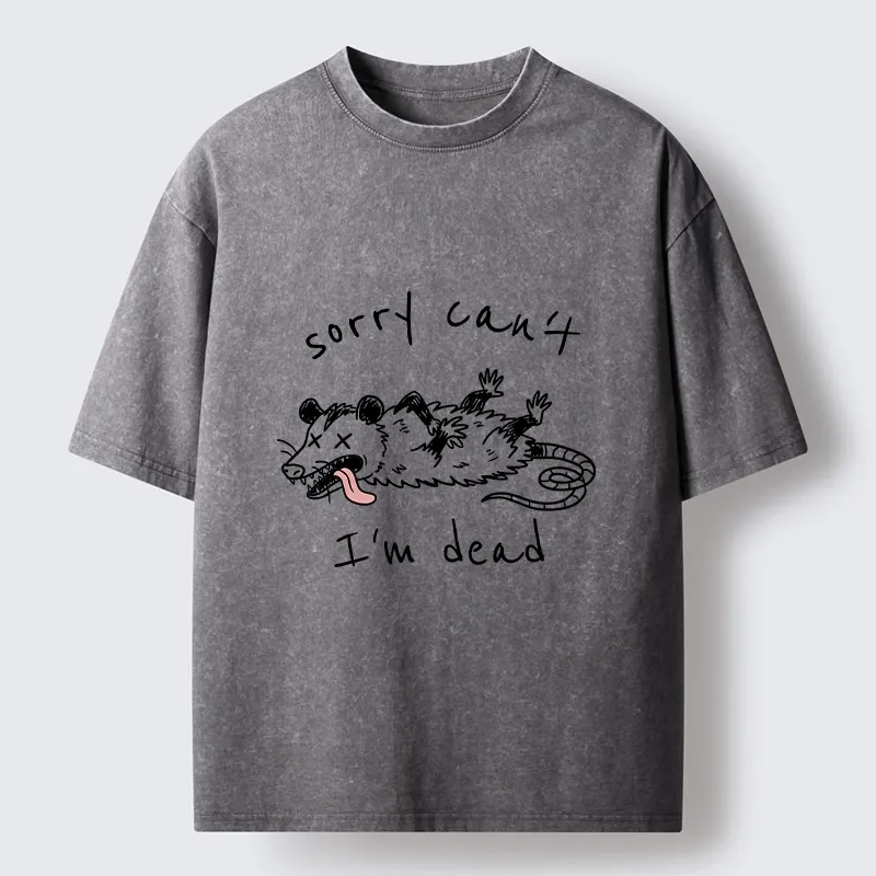 Magmoo Opossum Dead Mode Funny Life Washed T-Shirt