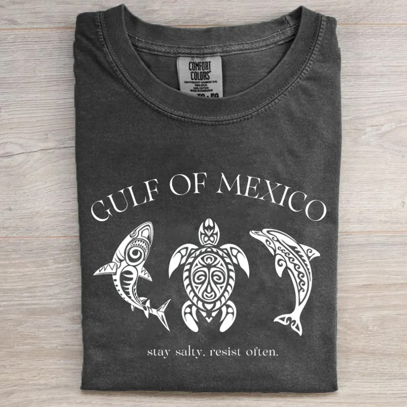 Comfort Colors Gulf of Mexico T-shirt-Magmoo