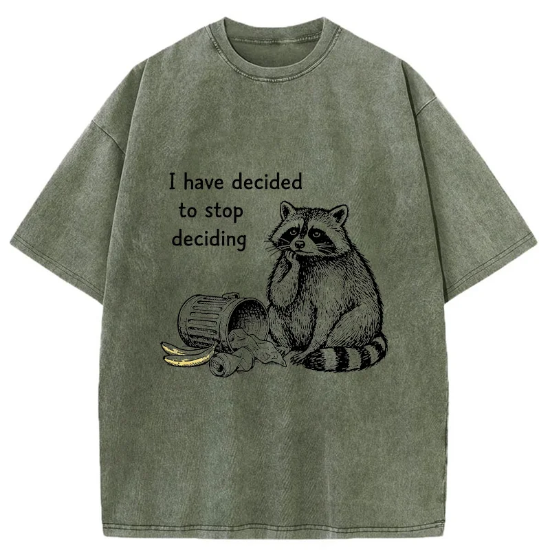 Magmoo Raccoon Stops Making Choices Washed T-Shirt