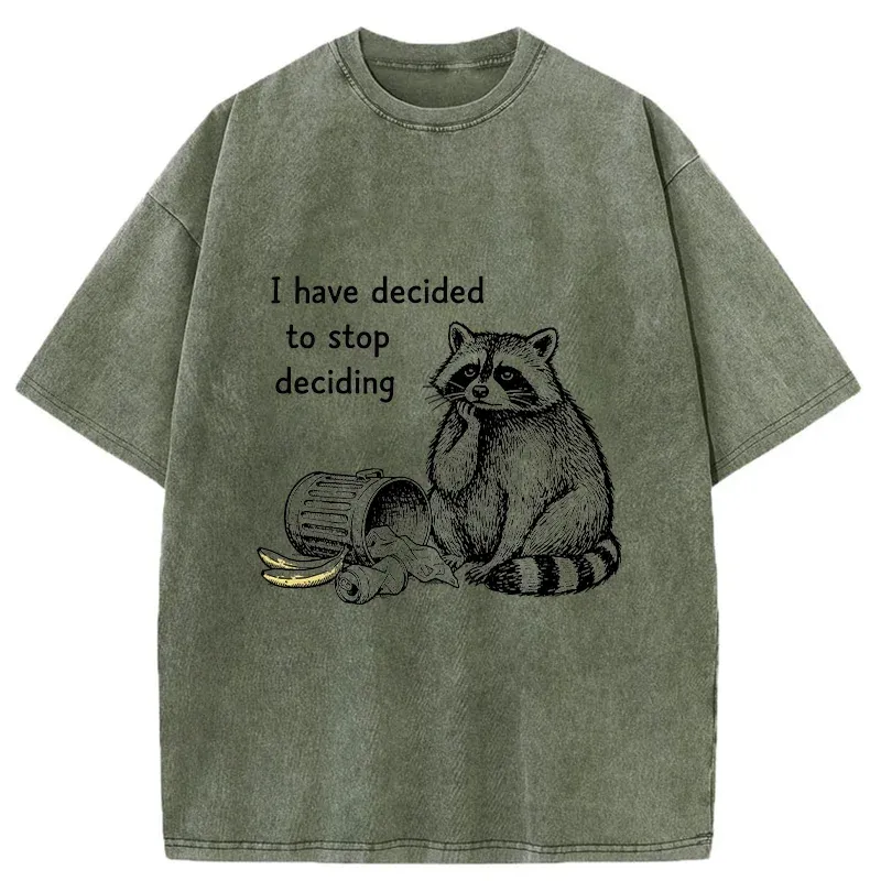 Magmoo Raccoon Stops Making Choices Washed T-Shirt