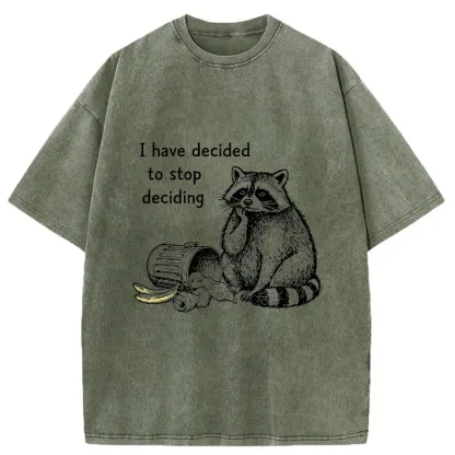 Magmoo Raccoon Stops Making Choices Washed T-Shirt