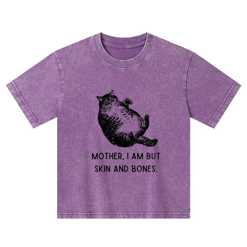 Magmoo Overweight Cat And Its Doting Owner Kids Washed T-Shirt