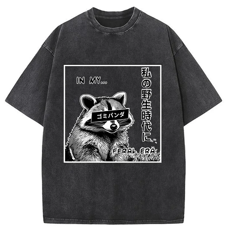 Magmoo Japanese Wild Raccoon Washed T-Shirt