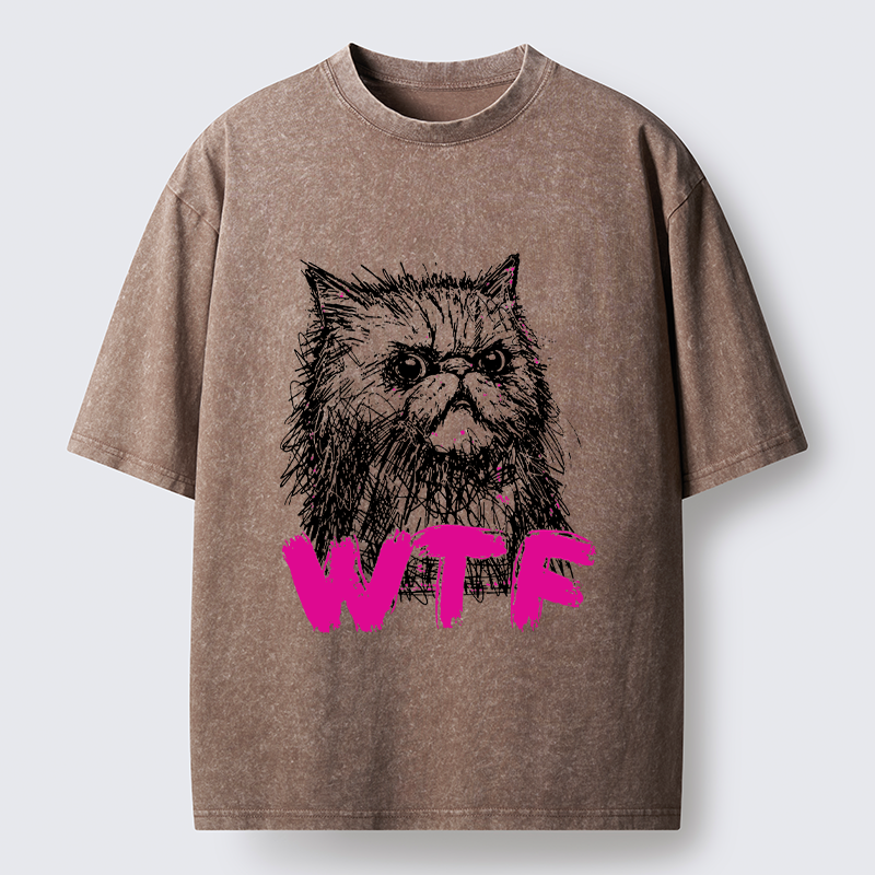 Magmoo Angry And Sloppy Cat Washed T-Shirt-Magmoo