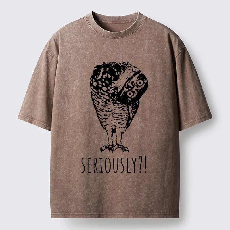 Magmoo Owl's Question Washed T-Shirt-Magmoo