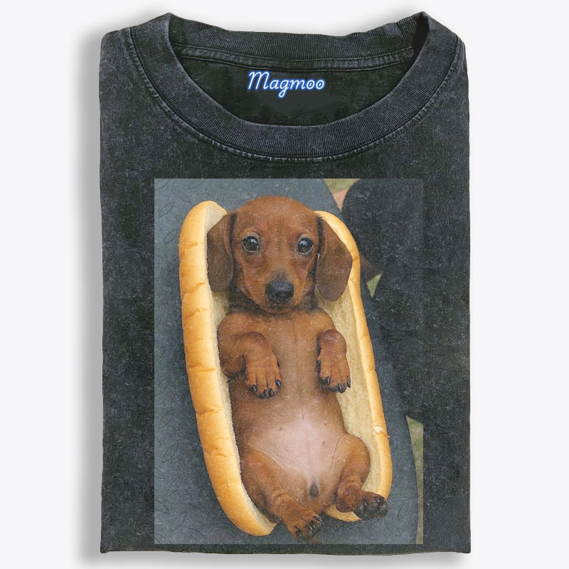 Hot Dog Dachshund Meme Retro Washed T-Shirt