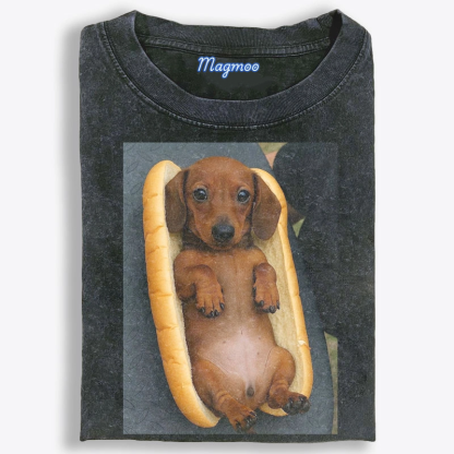 Hot Dog Dachshund Meme Retro Washed T-Shirt