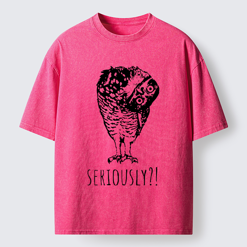 Magmoo Owl's Question Washed T-Shirt-Magmoo