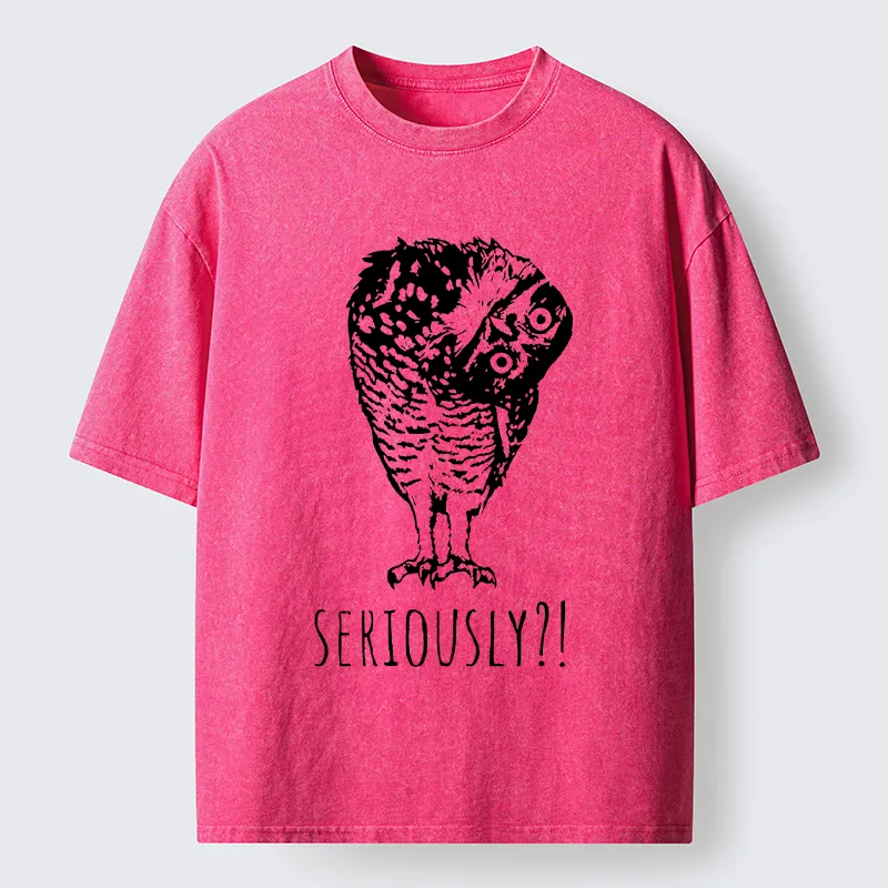 Magmoo Owl's Question Washed T-Shirt-Magmoo