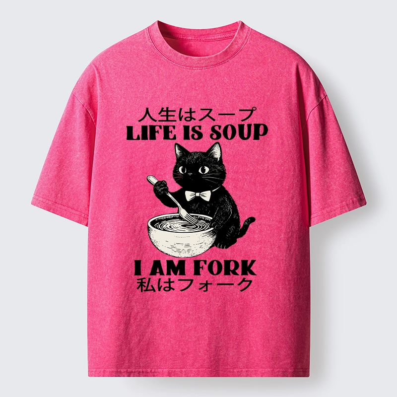 Magmoo Life Is Soup Cat Humor Meme Washed T-Shirt-Magmoo