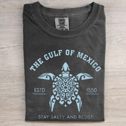 Comfort Colors Gulf of Mexico T-shirt-Magmoo
