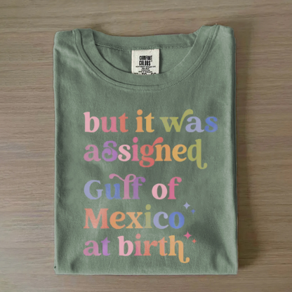 But It Was Assigned Gulf of Mexico at Birth T-shirt-Magmoo