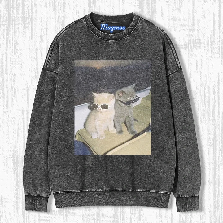 CAT WITH SUNGLASSES HOODIE