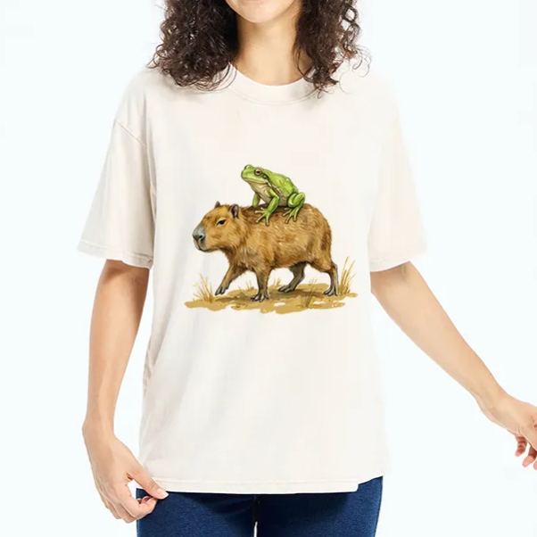 Magmoo Frog Riding A Capybara Washed T-Shirt