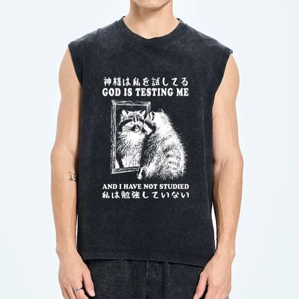 Magmoo Raccoon Not Studied Washed Tank